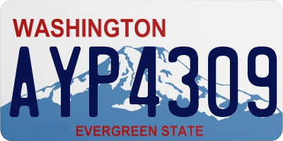 WA license plate AYP4309