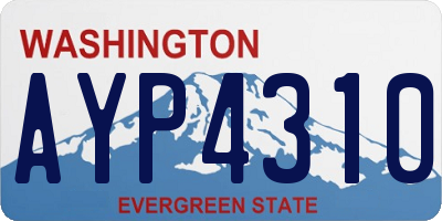 WA license plate AYP4310