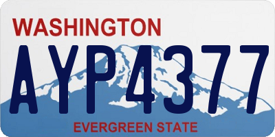 WA license plate AYP4377