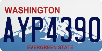 WA license plate AYP4390