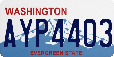 WA license plate AYP4403