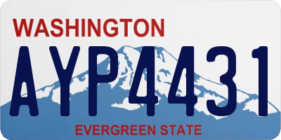 WA license plate AYP4431