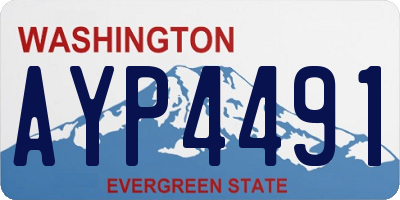 WA license plate AYP4491