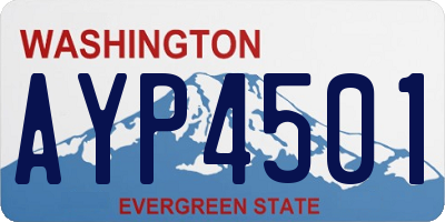 WA license plate AYP4501