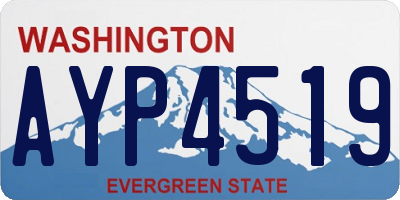 WA license plate AYP4519