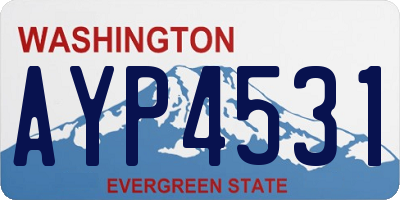 WA license plate AYP4531