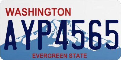 WA license plate AYP4565