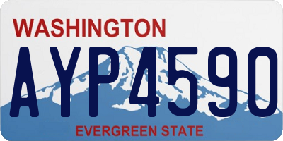 WA license plate AYP4590