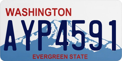 WA license plate AYP4591