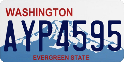 WA license plate AYP4595
