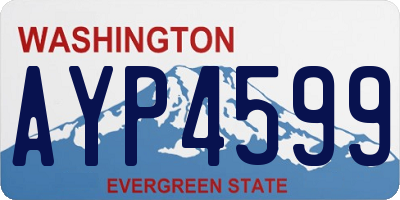 WA license plate AYP4599