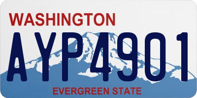 WA license plate AYP4901