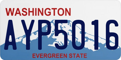 WA license plate AYP5016