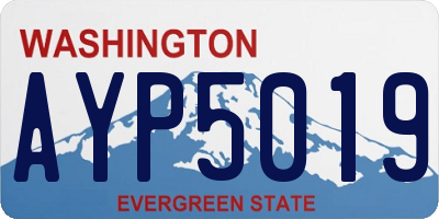 WA license plate AYP5019
