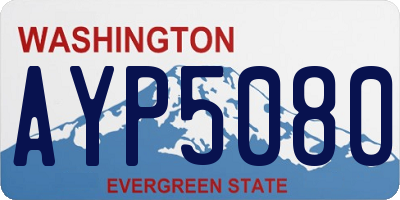 WA license plate AYP5080