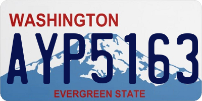 WA license plate AYP5163