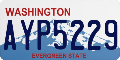 WA license plate AYP5229