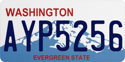 WA license plate AYP5256