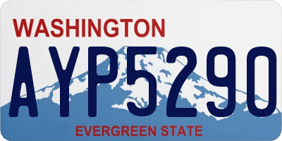 WA license plate AYP5290