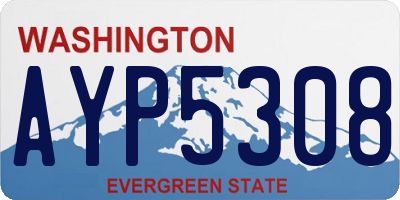 WA license plate AYP5308
