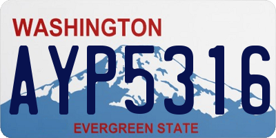 WA license plate AYP5316