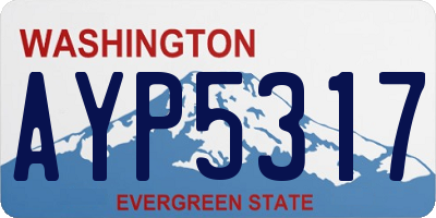WA license plate AYP5317