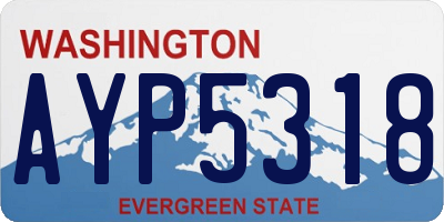 WA license plate AYP5318