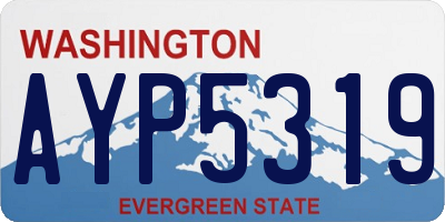 WA license plate AYP5319