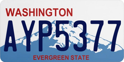 WA license plate AYP5377
