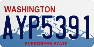 WA license plate AYP5391