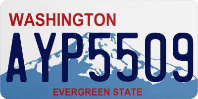 WA license plate AYP5509
