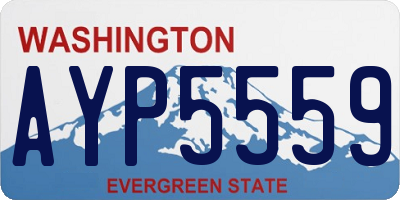 WA license plate AYP5559