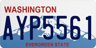 WA license plate AYP5561