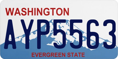 WA license plate AYP5563