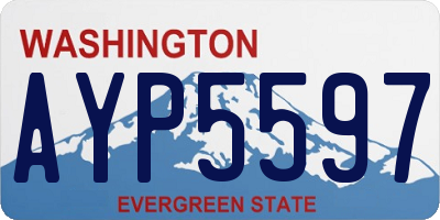 WA license plate AYP5597