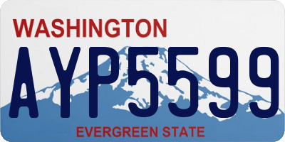 WA license plate AYP5599