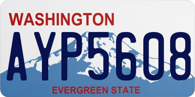 WA license plate AYP5608
