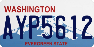 WA license plate AYP5612