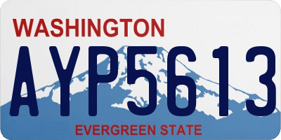 WA license plate AYP5613