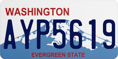 WA license plate AYP5619