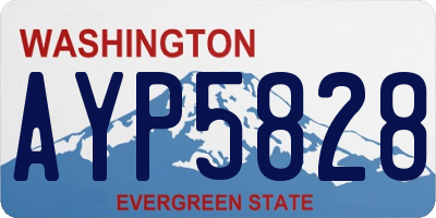 WA license plate AYP5828
