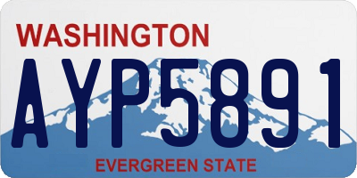 WA license plate AYP5891