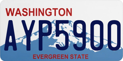 WA license plate AYP5900