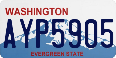 WA license plate AYP5905
