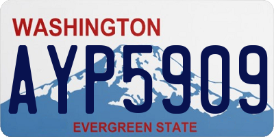WA license plate AYP5909