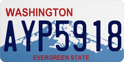 WA license plate AYP5918