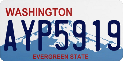 WA license plate AYP5919