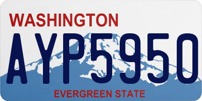 WA license plate AYP5950