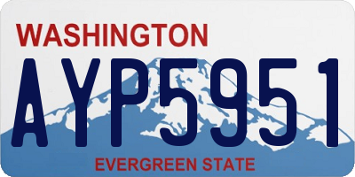 WA license plate AYP5951