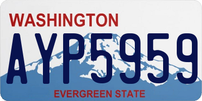 WA license plate AYP5959